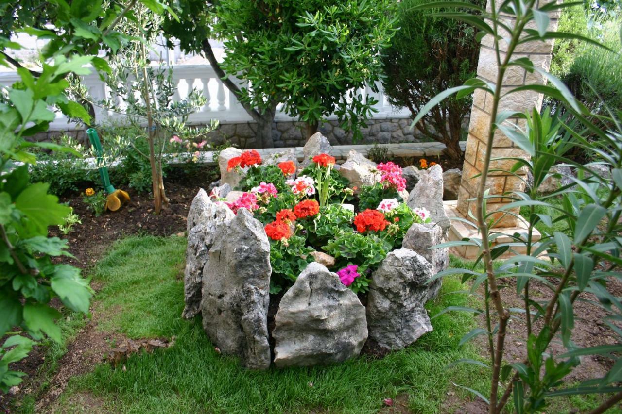 Bed & Breakfast Sojat *